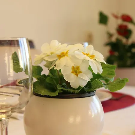 Apartman Dora - * Pula